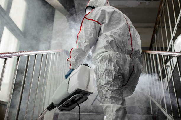 Best Mold Remediation for Healthcare Facilities  in Morrisville, VT